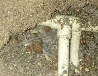 安顺市卫生间测漏